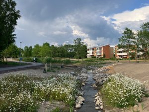 Haaganpuron alajuoksun kunnostus valittiin vuoden rakennushankkeeksi Kuntatekniikan päivillä